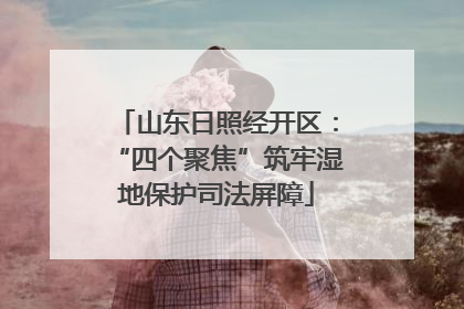 山东日照经开区：“四个聚焦”筑牢湿地保护司法屏障