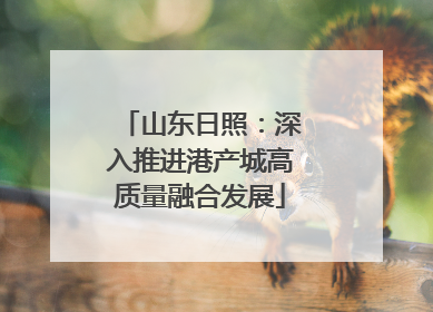 山东日照：深入推进港产城高质量融合发展