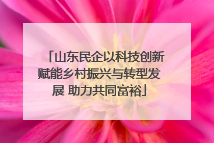 山东民企以科技创新赋能乡村振兴与转型发展 助力共同富裕