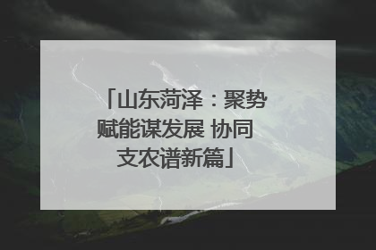 山东菏泽：聚势赋能谋发展 协同支农谱新篇