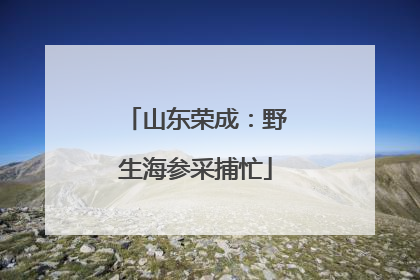 山东荣成：野生海参采捕忙