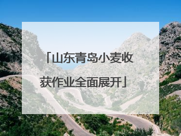 山东青岛小麦收获作业全面展开