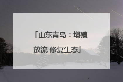 山东青岛：增殖放流 修复生态