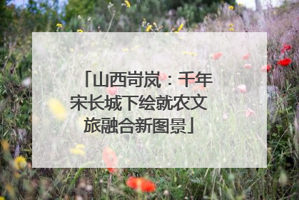 山西岢岚：千年宋长城下绘就农文旅融合新图景