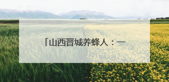 山西晋城养蜂人：一颗初心向“蜜”图强