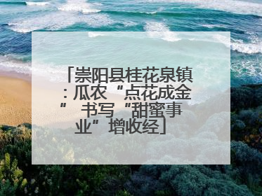 崇阳县桂花泉镇：瓜农“点花成金” 书写“甜蜜事业”增收经