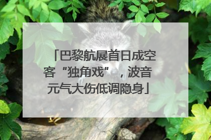 巴黎航展首日成空客“独角戏”，波音元气大伤低调隐身