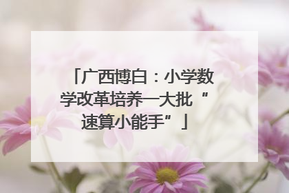 广西博白：小学数学改革培养一大批“速算小能手”