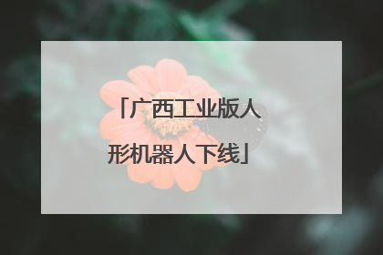 广西工业版人形机器人下线