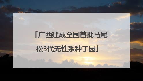 广西建成全国首批马尾松3代无性系种子园