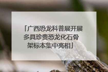 广西恐龙科普展开展 多具珍贵恐龙化石骨架标本集中亮相