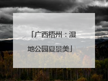 广西梧州：湿地公园夏景美