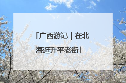 广西游记｜在北海逛升平老街