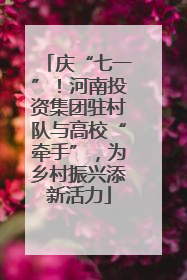 庆“七一”！河南投资集团驻村队与高校“牵手”，为乡村振兴添新活力