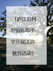庐江县柯坦镇陈埠小学开展法治教育活动
