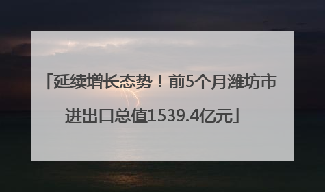 延续增长态势！前5个月潍坊市进出口总值1539.4亿元