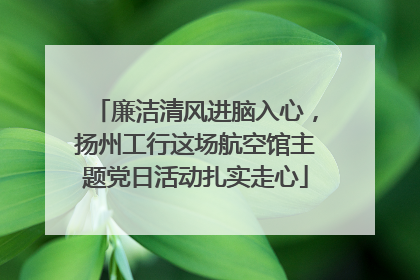 廉洁清风进脑入心，扬州工行这场航空馆主题党日活动扎实走心