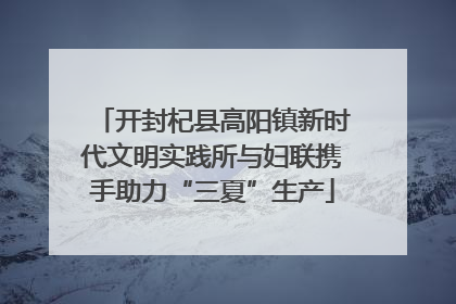 开封杞县高阳镇新时代文明实践所与妇联携手助力“三夏”生产