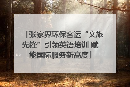 张家界环保客运“文旅先锋”引领英语培训 赋能国际服务新高度