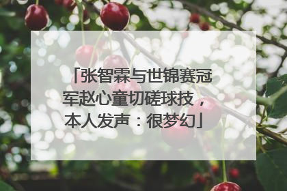 张智霖与世锦赛冠军赵心童切磋球技，本人发声：很梦幻