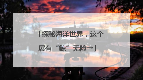 探秘海洋世界，这个展有“鲸”无险→