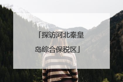 探访河北秦皇岛综合保税区