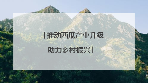 推动西瓜产业升级 助力乡村振兴
