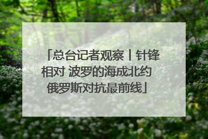 总台记者观察丨针锋相对 波罗的海成北约俄罗斯对抗最前线