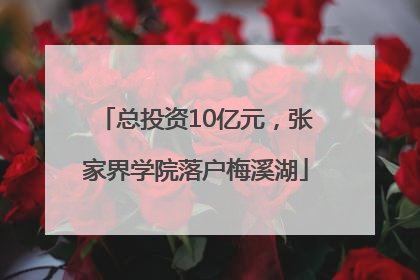 总投资10亿元，张家界学院落户梅溪湖