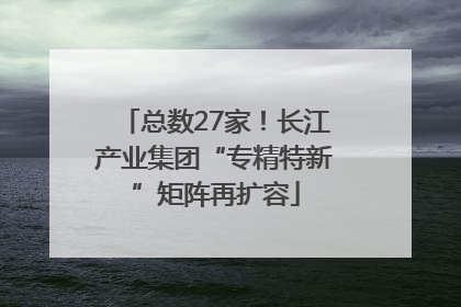 总数27家！长江产业集团“专精特新”矩阵再扩容