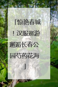 惊艳春城！汉服巡游邂逅长春公园芍药花海