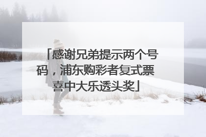 感谢兄弟提示两个号码，浦东购彩者复式票喜中大乐透头奖