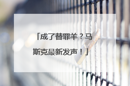 成了替罪羊？马斯克最新发声！