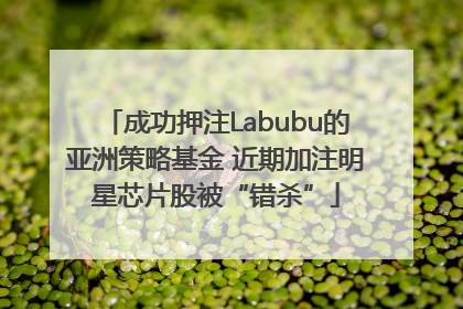 成功押注Labubu的亚洲策略基金 近期加注明星芯片股被“错杀”