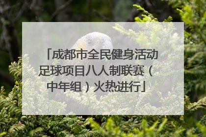 成都市全民健身活动足球项目八人制联赛（中年组）火热进行