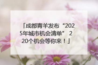 成都青羊发布“2025年城市机会清单” 220个机会等你来！