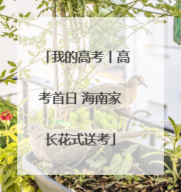 我的高考丨高考首日 海南家长花式送考