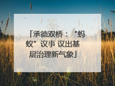 承德双桥：“蚂蚁”议事 议出基层治理新气象