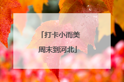 打卡小而美 周末到河北