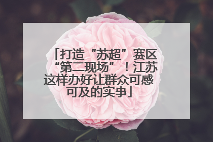 打造“苏超”赛区“第二现场”！江苏这样办好让群众可感可及的实事
