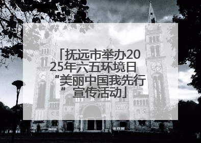 抚远市举办2025年六五环境日“美丽中国我先行”宣传活动