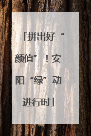 拼出好“颜值”！安阳“绿”动进行时