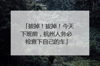 拔掉！拔掉！今天下班前，杭州人务必检查下自己的车