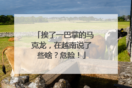 挨了一巴掌的马克龙，在越南说了些啥？危险！