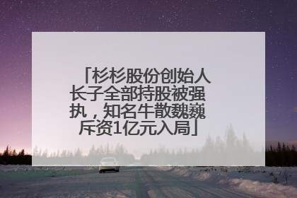 杉杉股份创始人长子全部持股被强执，知名牛散魏巍斥资1亿元入局