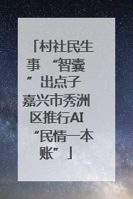 村社民生事 “智囊”出点子 嘉兴市秀洲区推行AI“民情一本账”