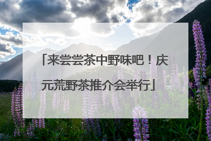 来尝尝茶中野味吧！庆元荒野茶推介会举行