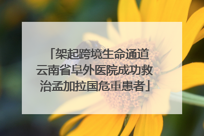 架起跨境生命通道 云南省阜外医院成功救治孟加拉国危重患者