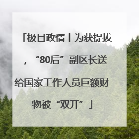 极目政情丨为获提拔，“80后”副区长送给国家工作人员巨额财物被“双开”