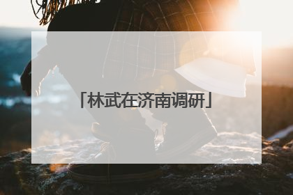 林武在济南调研